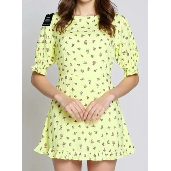 FAITHFULL THE BRAND Florence Mini Dress, Luda Floral Print, 4(US)/Small